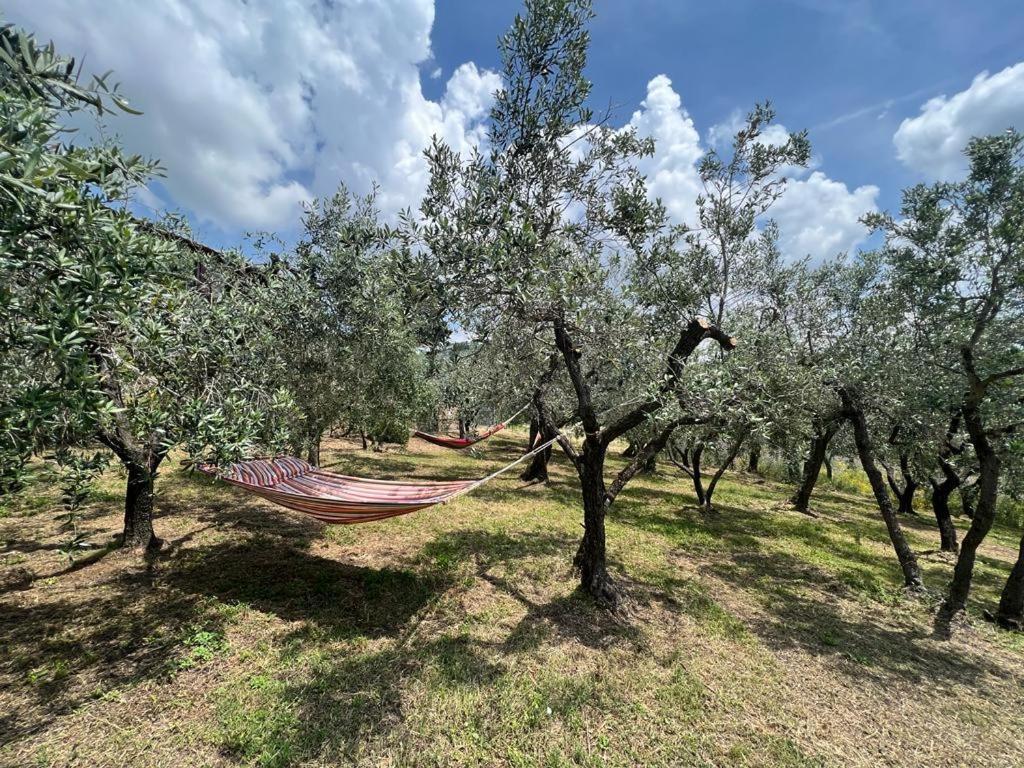 Bed and Breakfast Casa Della Noce Vinci Esterno foto